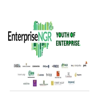 EnterpriseNGR YOE Internship Program 2025: Career Opportunities for Young Graduates