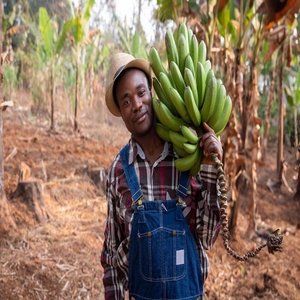 Federal Government SMEDAN AgriBusiness Empowerment and Development Program 2025: Apply Now